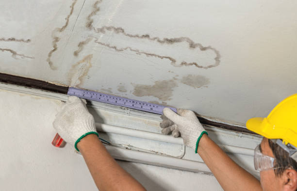 Reliable Structural Drying contractor in Cedar Springs, MI by Water Damage Irwin